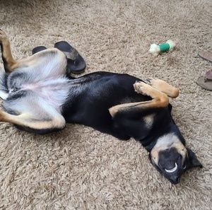 Meet your Posher, Randi